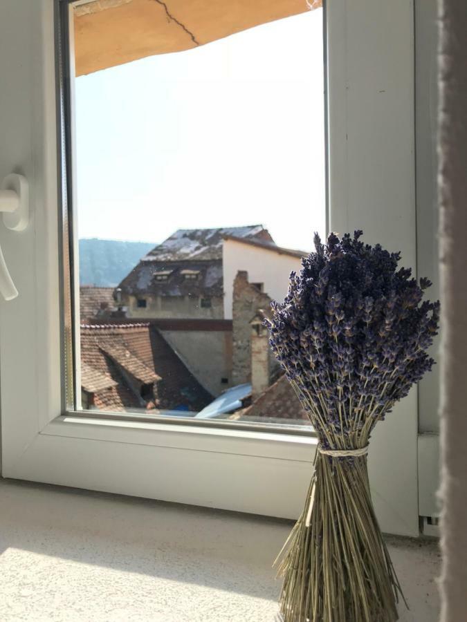 Casa Otto Sighisoara Apartment Bagian luar foto